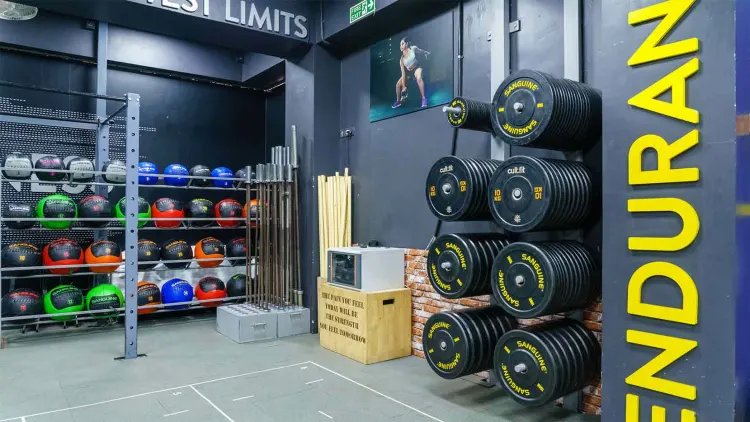 Cult fit sales online dance fitness